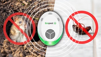 EcoPest